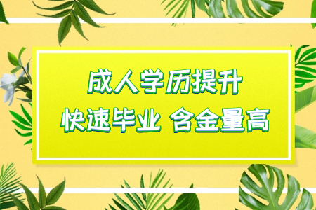 ?？粕ㄟ^統(tǒng)考專升本讀本科然后考研可行嗎