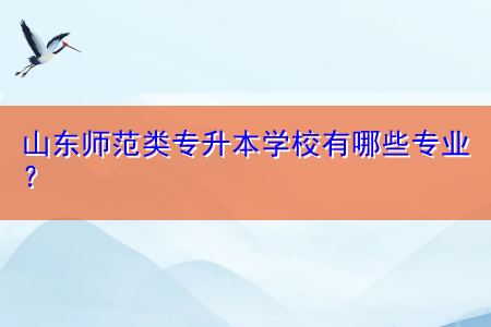 山東師范類專升本學校有哪些專業(yè)？