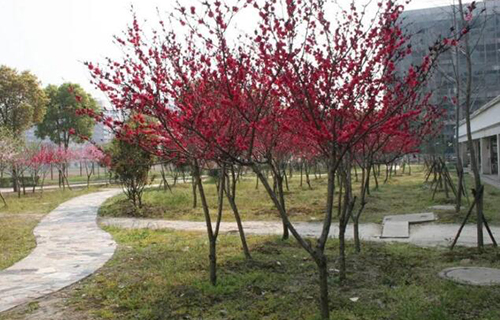 吉林鐵路經(jīng)濟學(xué)校鐵道工程技術(shù)專業(yè)怎么樣