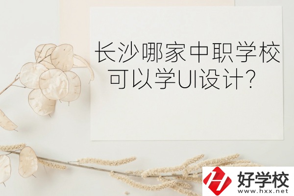 長沙哪家中職學(xué)?？梢詫W(xué)UI設(shè)計？