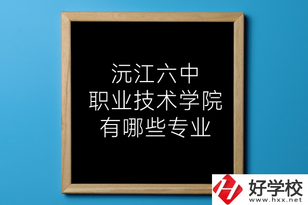 湖南沅江六中職業(yè)技術(shù)學(xué)院有哪些專業(yè)？