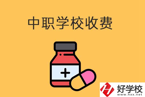衡陽的中職學校怎么收費的？費用貴不貴？