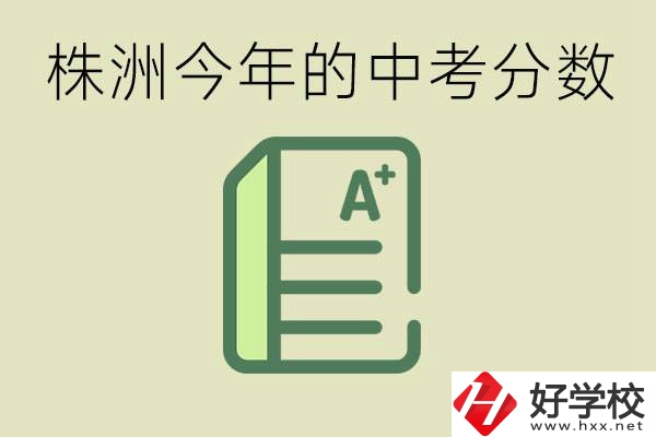 株洲今年中考多少分能上高中？沒考上有什么選擇？