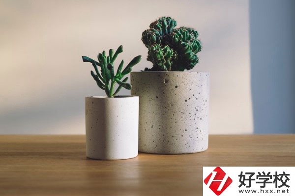 芷江民族職業(yè)中專招生專業(yè)有哪些？收費(fèi)標(biāo)準(zhǔn)如何？