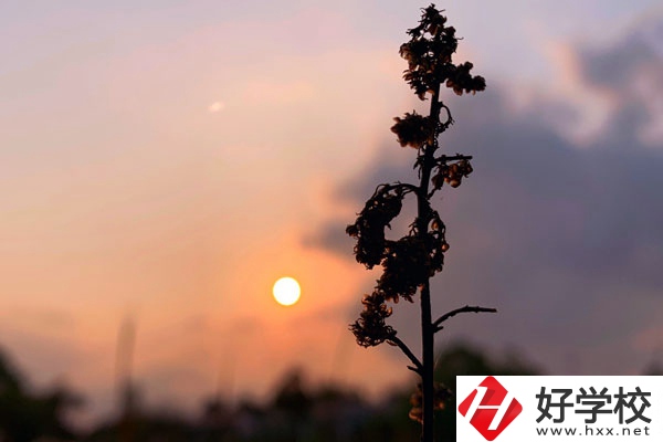 邵陽(yáng)哈博職業(yè)中專學(xué)校好不好？有什么辦學(xué)特色？
