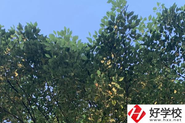 邵陽職業(yè)技術(shù)學(xué)校就業(yè)好不好？值得報考嗎？