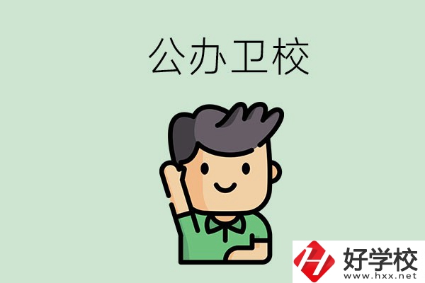 湖南的公辦衛(wèi)校有哪些？這兩所學(xué)校值得推薦！
