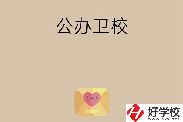 想在湖南上公辦衛(wèi)校？這所學(xué)校值得一看