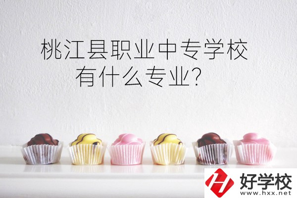 桃江縣職業(yè)中專(zhuān)學(xué)校到底好不好？有什么專(zhuān)業(yè)？
