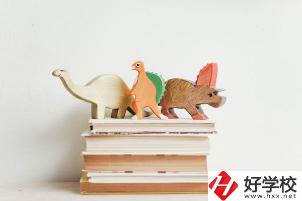 懷化啟航衛(wèi)生學(xué)校辦學(xué)地址在哪兒？