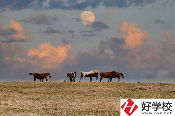 邵陽工業(yè)學(xué)校是公辦還是民辦？有什么優(yōu)勢？