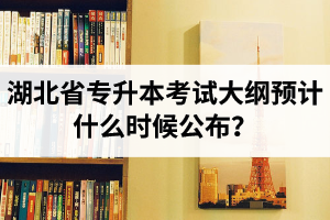 湖北省專升本考試大綱預(yù)計什么時候公布？現(xiàn)階段怎么備考比較好？