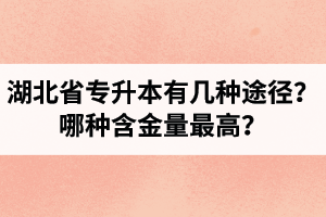 湖北省專升本有幾種途徑？哪種含金量最高？