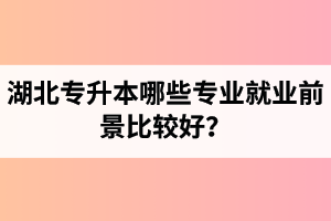 湖北專(zhuān)升本哪些專(zhuān)業(yè)就業(yè)前景比較好？