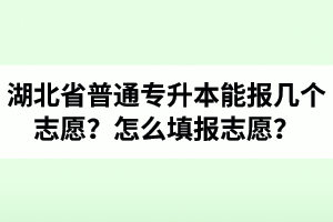 湖北省普通專升本能報幾個志愿？怎么填報志愿？
