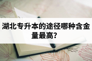 湖北普通專升本英譯漢段落翻譯分析應該怎么做？