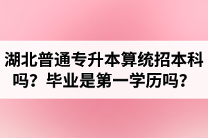 湖北普通專升本算統(tǒng)招本科嗎？專升本學(xué)歷是第一學(xué)歷嗎？