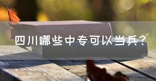 四川哪些中?？梢援?dāng)兵？(圖1)