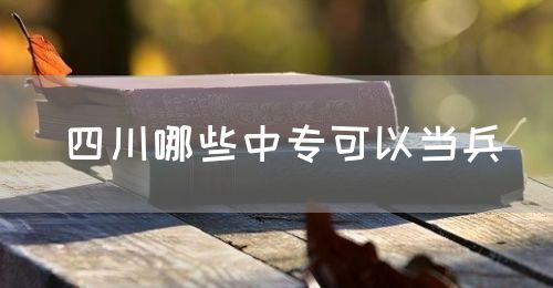 四川哪些中?？梢援敱?圖1)
