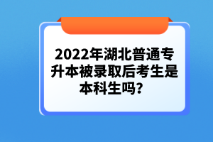2022年湖北普通專升本被錄取后考生是本科生嗎？