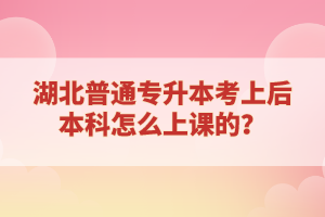 湖北普通專(zhuān)升本考上后本科怎么上課的？