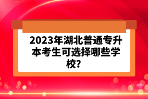 2023年湖北普通專升本考生可選擇哪些學(xué)校？