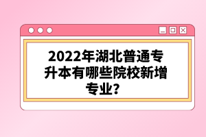 2022年湖北普通專升本有哪些院校新增專業(yè)？