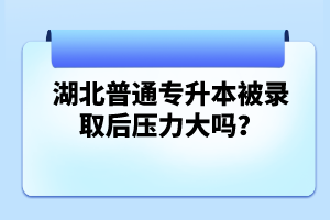 湖北普通專(zhuān)升本被錄取后壓力大嗎？