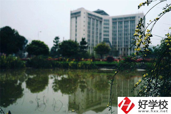 湘西有哪些重點技?？梢酝扑]？學校特色是什么？