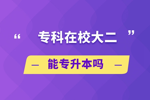 ?？圃谛４蠖軐Ｉ締? /></p><p style=