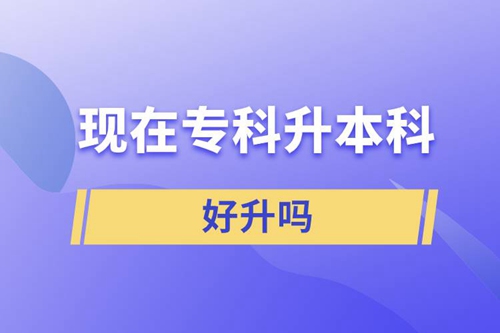 現(xiàn)在?？粕究坪蒙龁? /></p><p style=