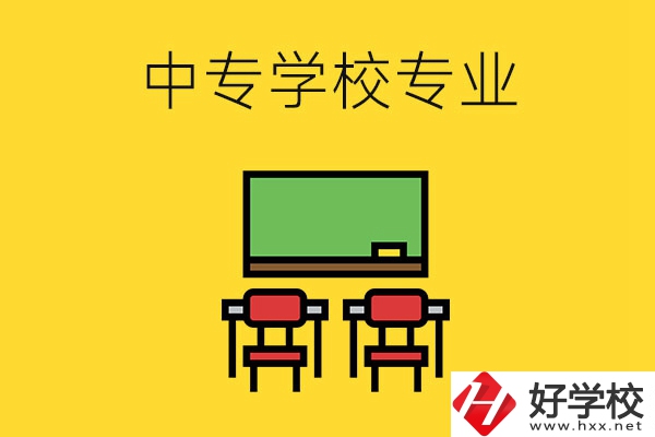 湖南的中專學(xué)校有哪些專業(yè)好就業(yè)？