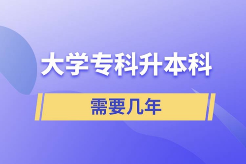 大學(xué)?？粕究菩枰獛啄?/></p><p style=