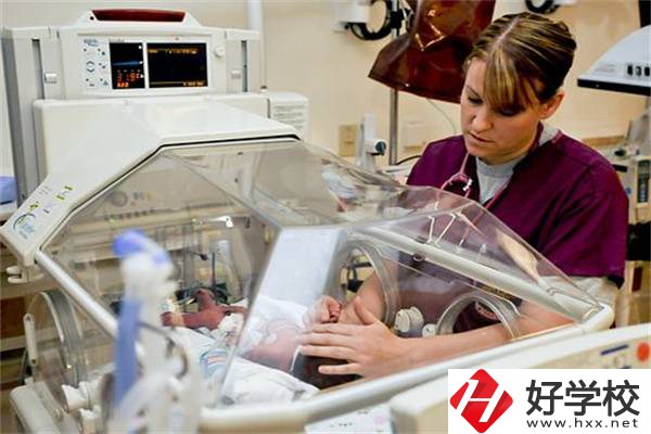 湖南中職學校開設最多的專業(yè)有哪些？就業(yè)前景怎么樣？
