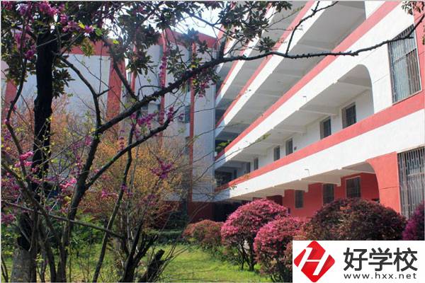 婁底有哪些技校？哪一所比較好？