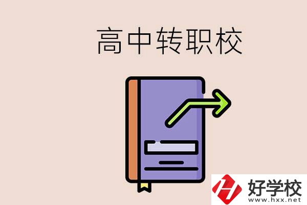 有在讀高中不想讀轉(zhuǎn)職校的例子嗎？能轉(zhuǎn)到湖南職校嗎？