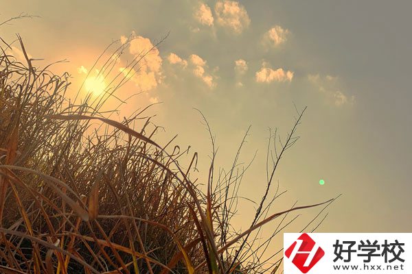 衡陽市瀟湘衛(wèi)生中等專業(yè)學(xué)校宿舍環(huán)境以及食堂怎么樣？