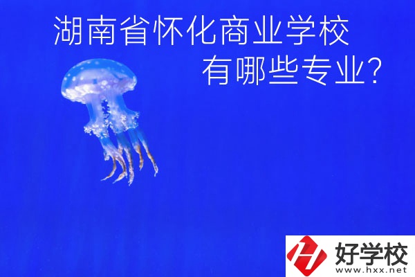 湖南省懷化商業(yè)學校好不好？有哪些專業(yè)？