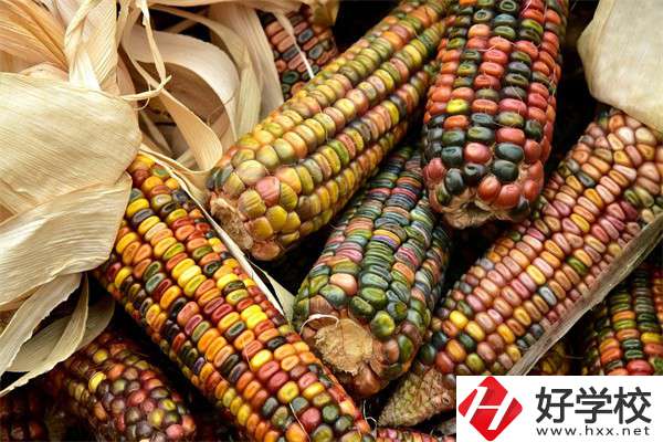 岳陽中職學(xué)校哪些專業(yè)好？有什么學(xué)校推薦？