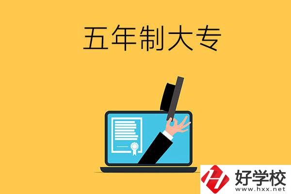 湖南有哪些比較好的五年制大專學(xué)校？看看這4所！
