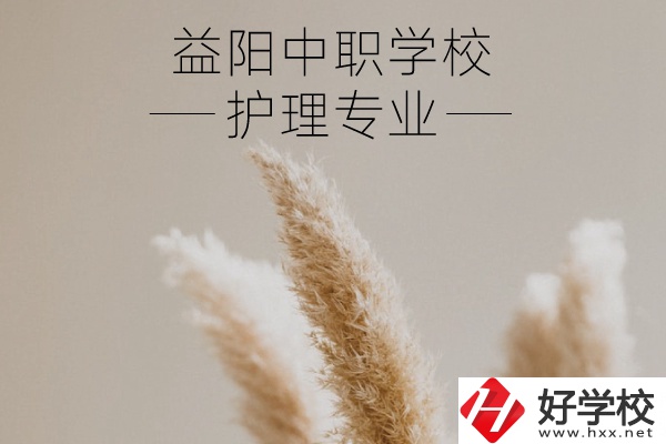 益陽護(hù)理專業(yè)的中職學(xué)校有哪些？需要哪些要求？
