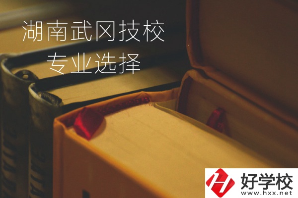 湖南武岡技校怎么樣？有哪些專(zhuān)業(yè)可以選擇？