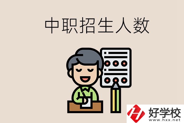 湖南中職學(xué)校每年的招生人數(shù)是多少？