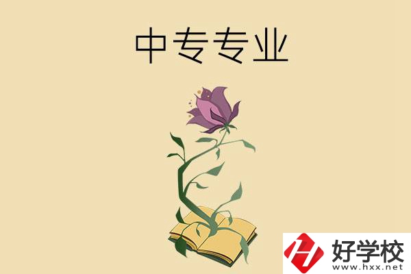 在張家界讀中專，學什么專業(yè)比較好？