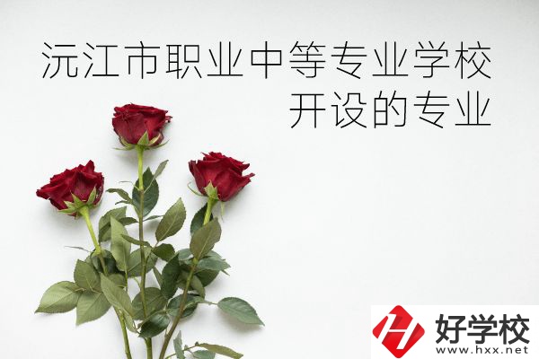 沅江市職業(yè)中等專(zhuān)業(yè)學(xué)校怎么樣？開(kāi)設(shè)哪些專(zhuān)業(yè)？