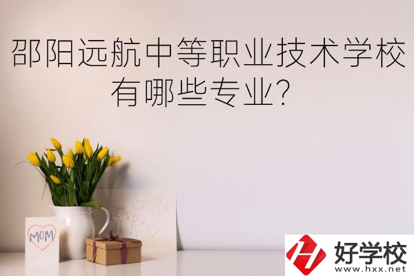 邵陽遠(yuǎn)航中等職業(yè)技術(shù)學(xué)校有哪些專業(yè)？