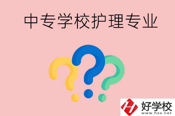 湖南的公辦中專學(xué)校哪些可以學(xué)護(hù)理專業(yè)？