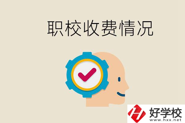 湖南的職校是怎么收費(fèi)的？民辦學(xué)校一年學(xué)費(fèi)要多少？