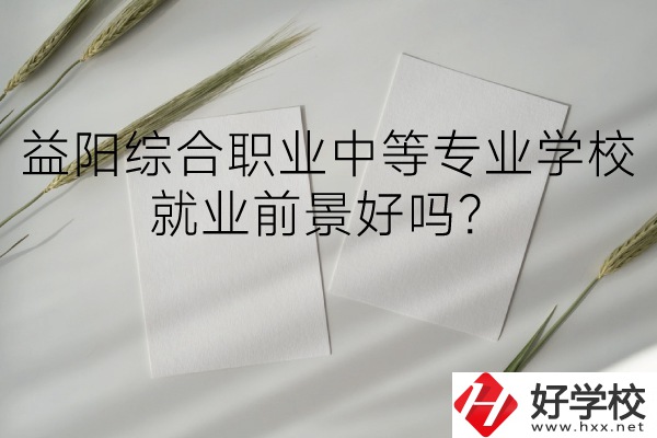 益陽綜合職業(yè)中等專業(yè)學(xué)校如何？就業(yè)前景好嗎？