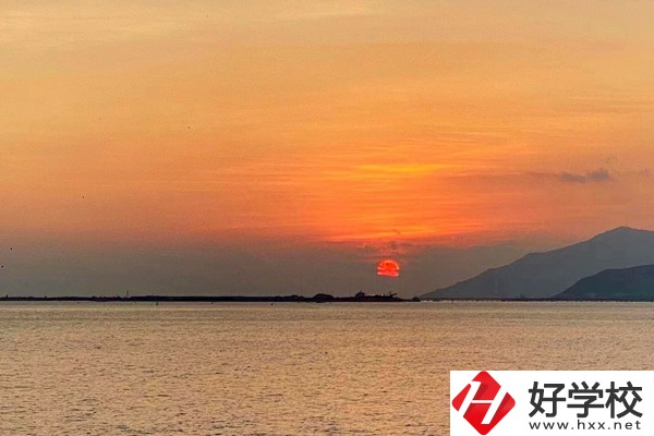 湘西龍山縣誠信職業(yè)技術學校有哪些對口單招專業(yè)？